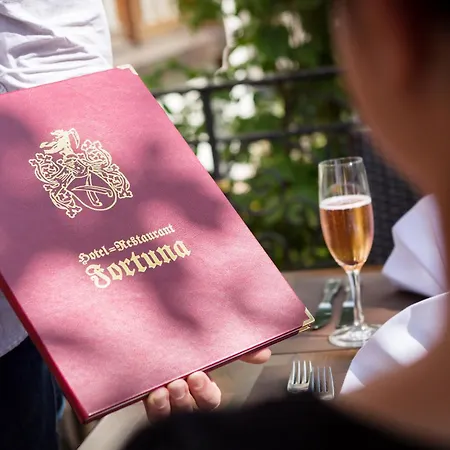 Hotel Fortuna 3*