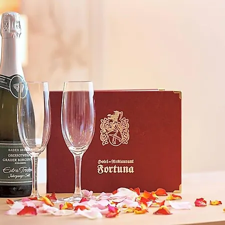 Fortuna 3* Kirchzarten